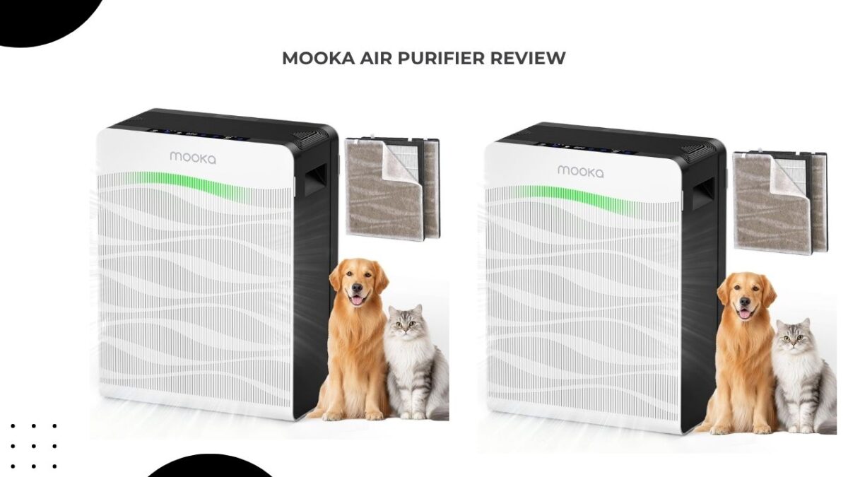 MOOKA Air Purifier Review